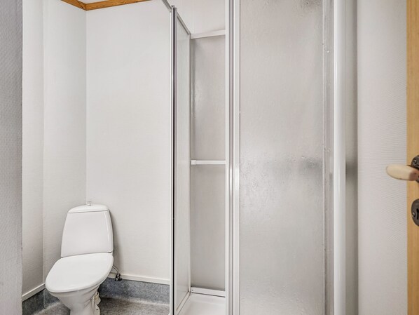 A bathroom with a white toilet, a shower enclosure, and a wooden door.