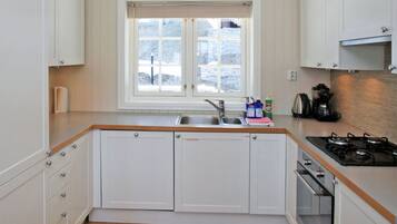 Fridge, oven, dishwasher, cookware/dishes/utensils