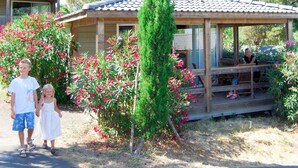 Eine Holzhütte mit Ziegeldach, umgeben von üppiger Vegetation und blühenden Pflanzen.