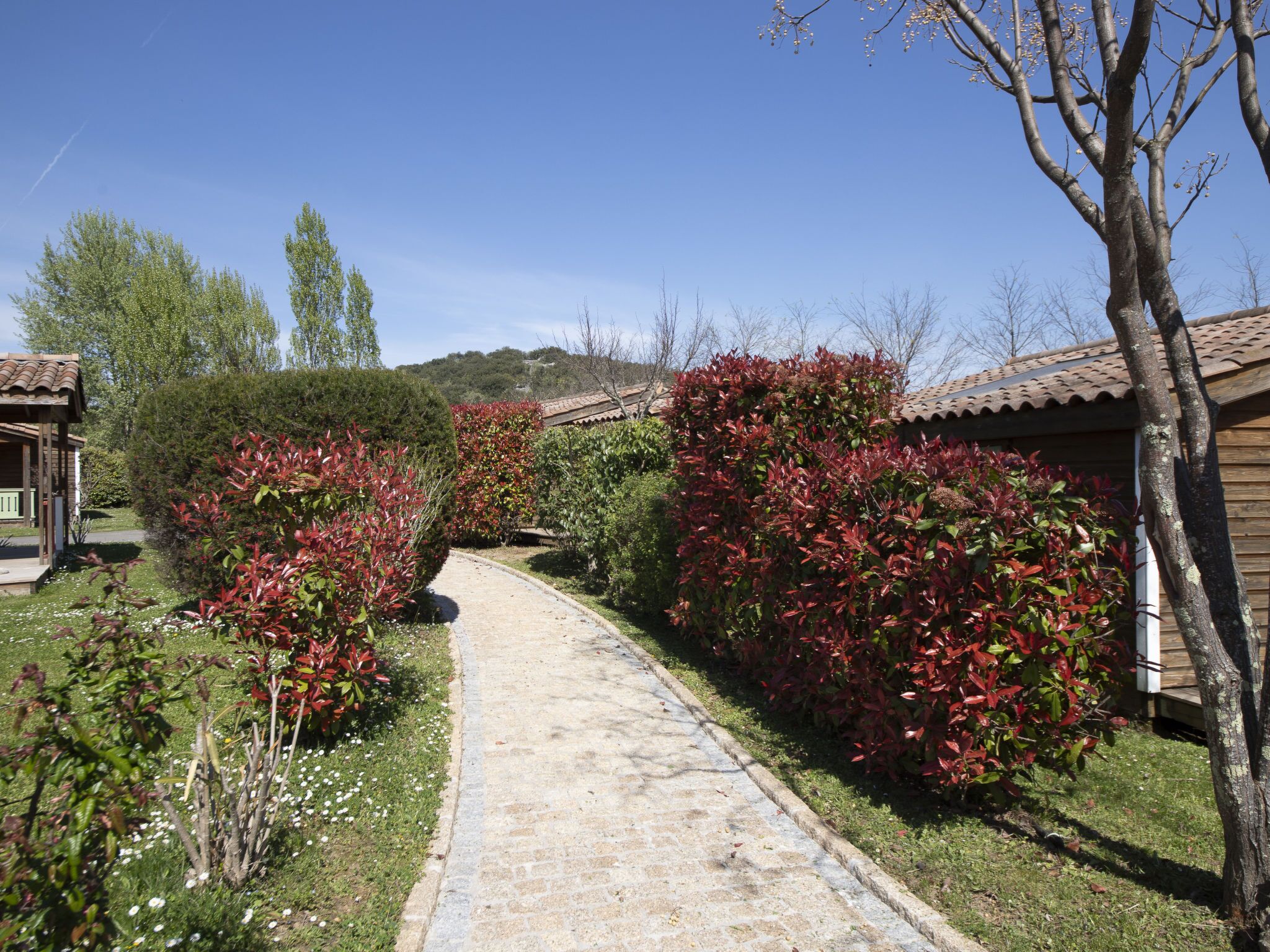 A pathway leading to a rustic building with a tiled roof, surrounded by lush greenery and flowering plants.