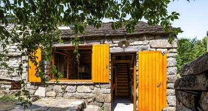 Chassezac by Interhome