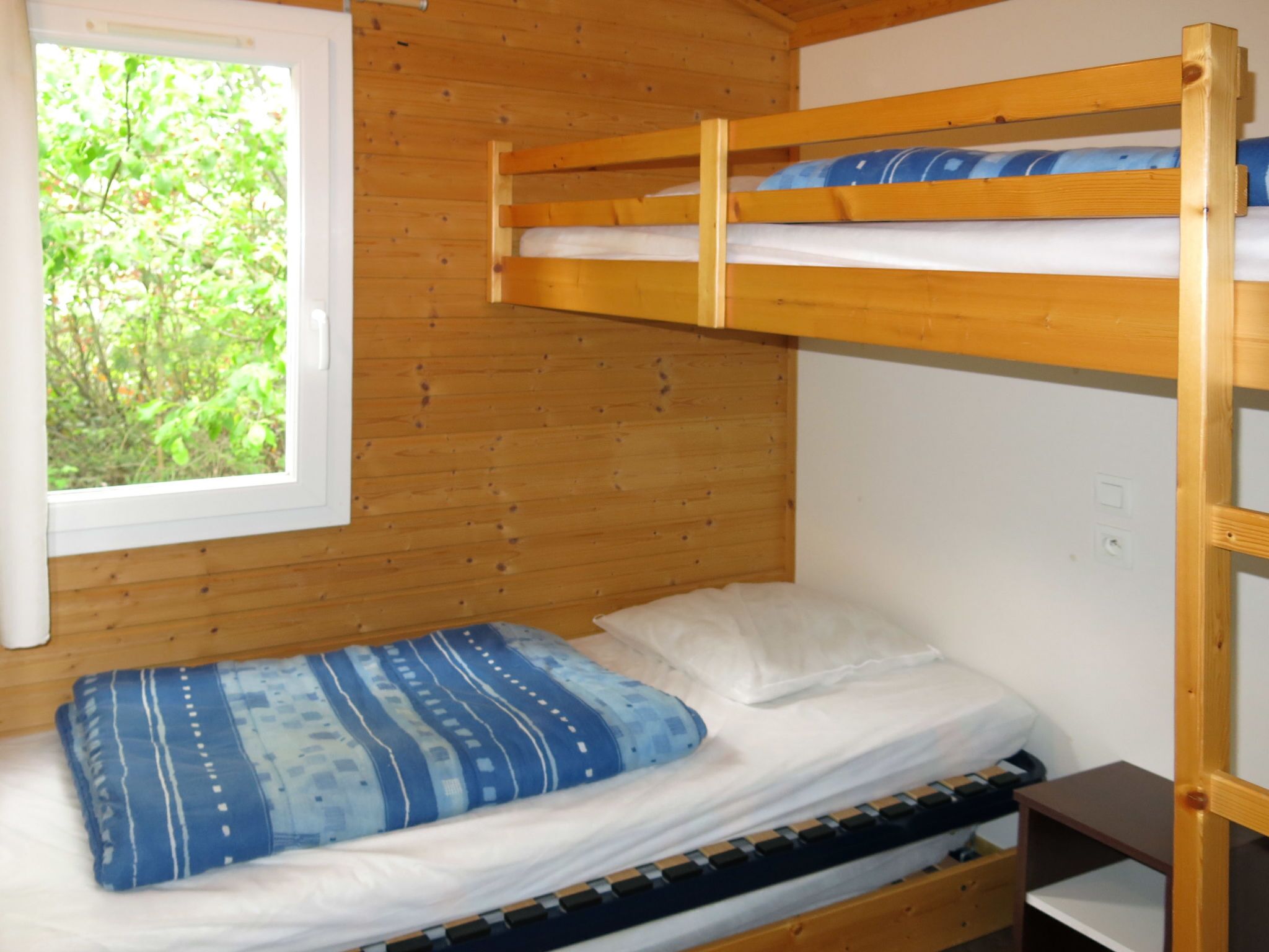 Una cama litera con ventana, una mesita de noche y vistas al verdor exterior.