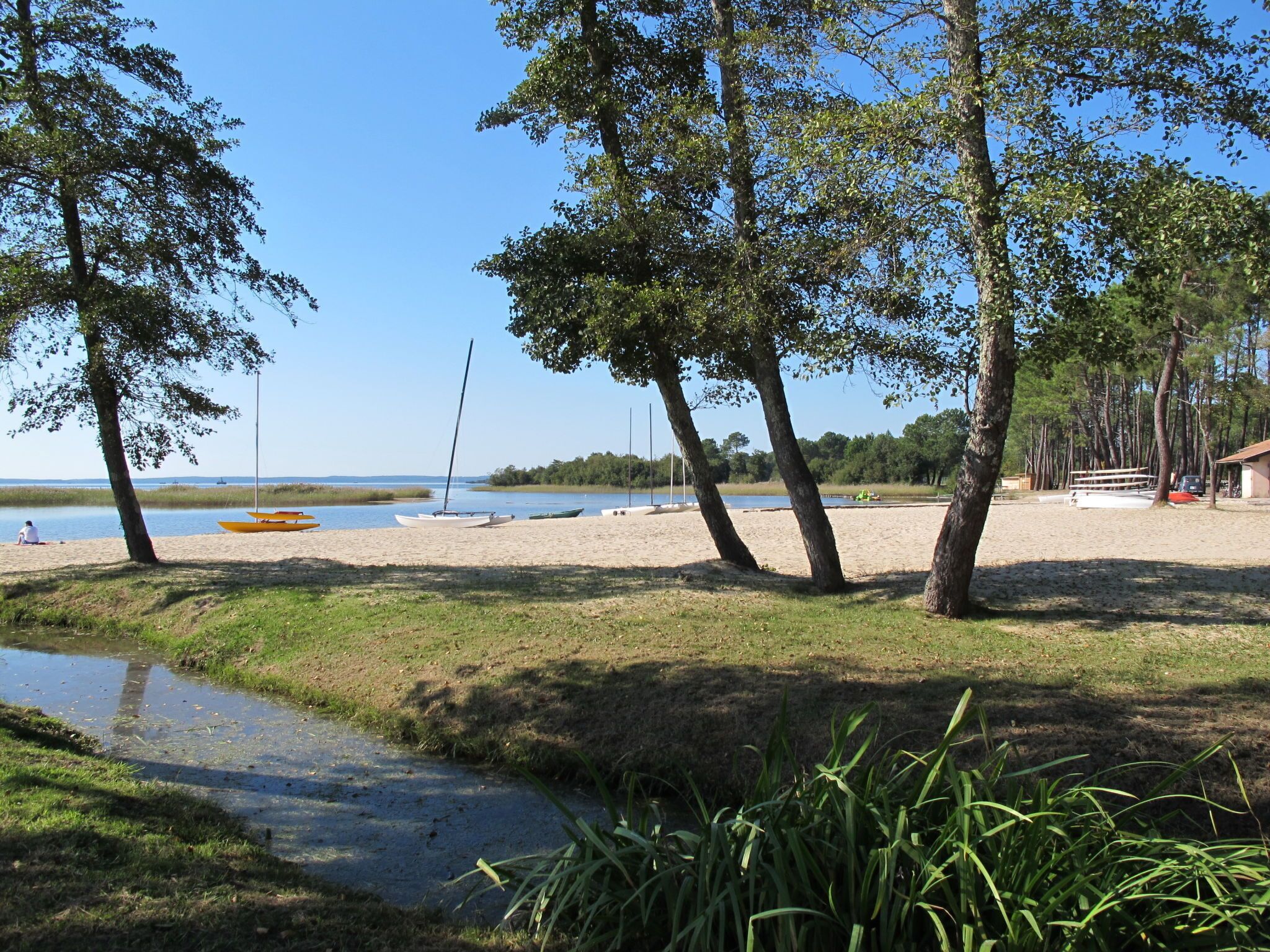 A beach with boats, a sandy shore, and trees.