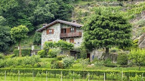 Une maison en pierre dotée d’un balcon, entourée d’une végétation luxuriante et d’un vignoble.