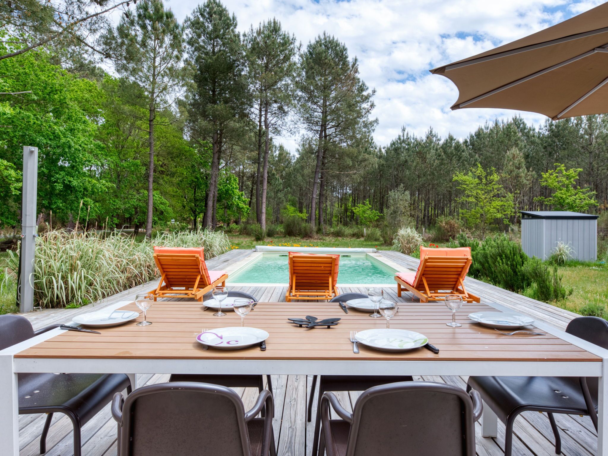 A wooden deck with a pool, surrounded by tall trees and a small shed.