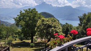 Un jardín con vistas a montañas y un lago.