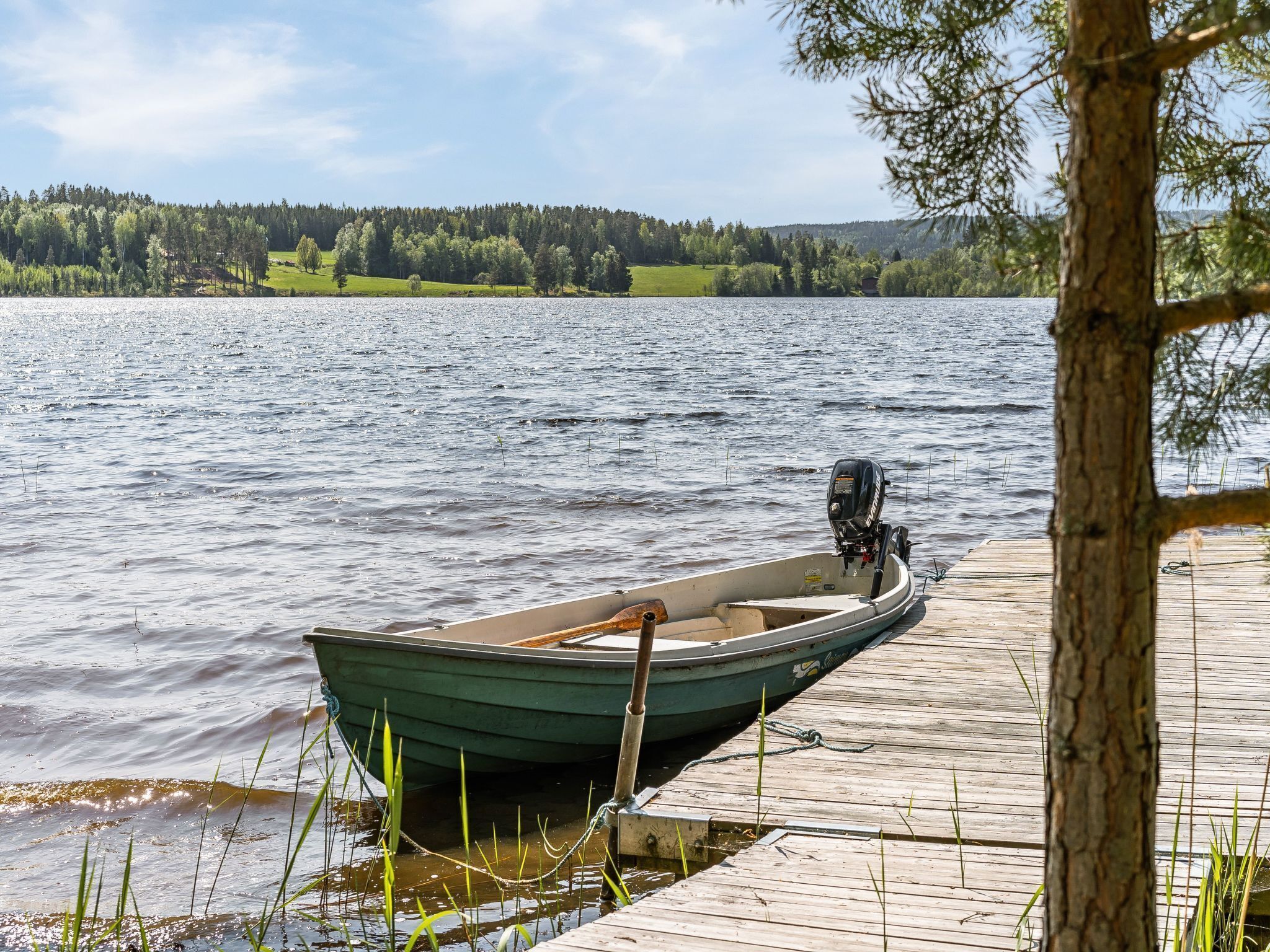 A small green boat tied to a wooden dock by a tree.