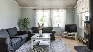 Televisión, chimenea