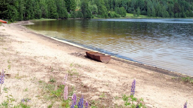 A lakeside view with a sandy beach, a boat, and surrounding forest. - Borrsjön by Interhome (Gräsmark)