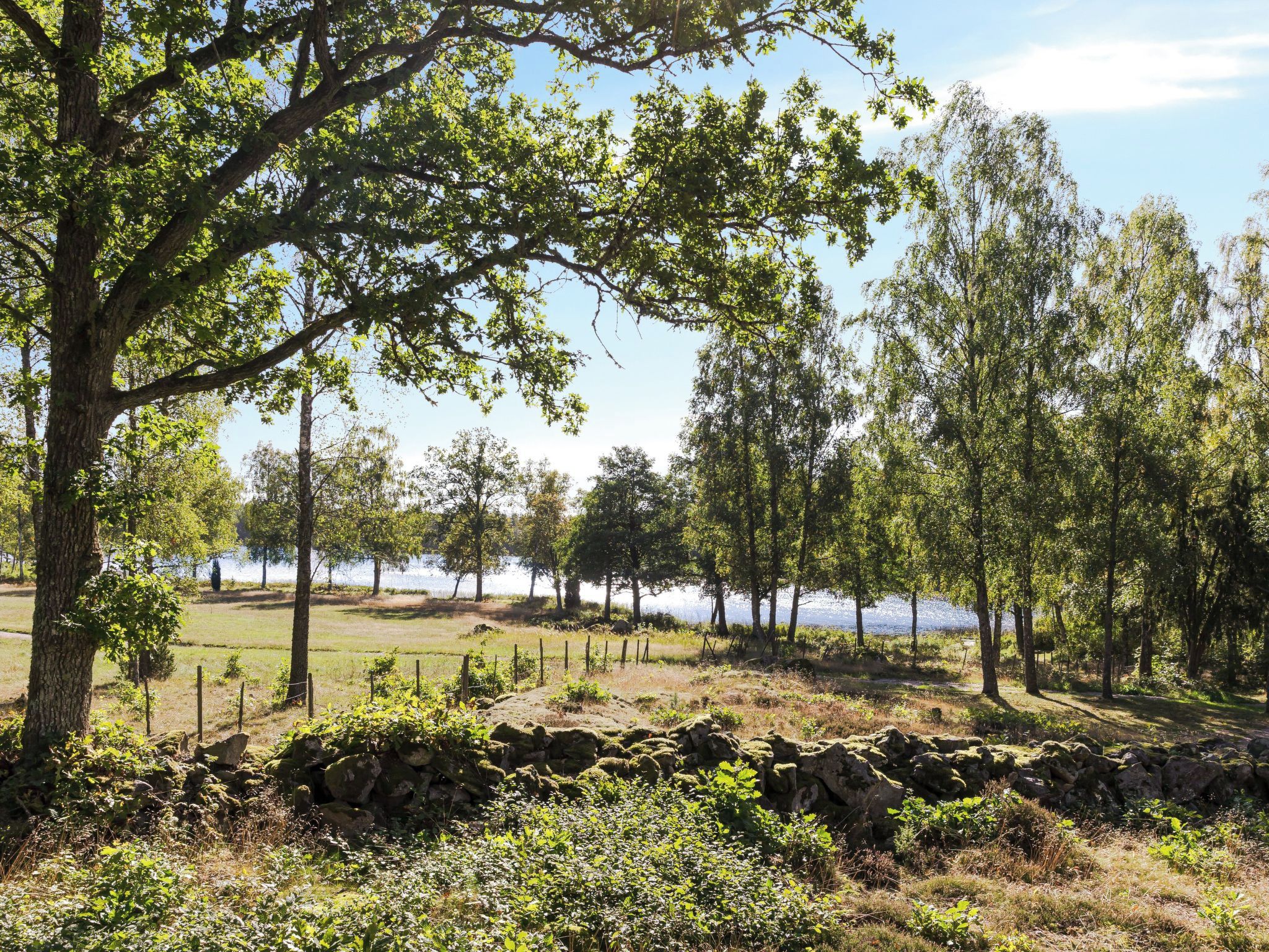A natural landscape with trees, a stone wall, and a body of water in the background.