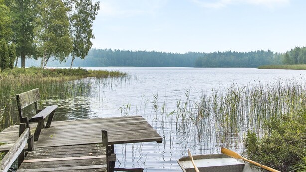 A wooden dock extending into a calm lake, surrounded by trees and reeds.