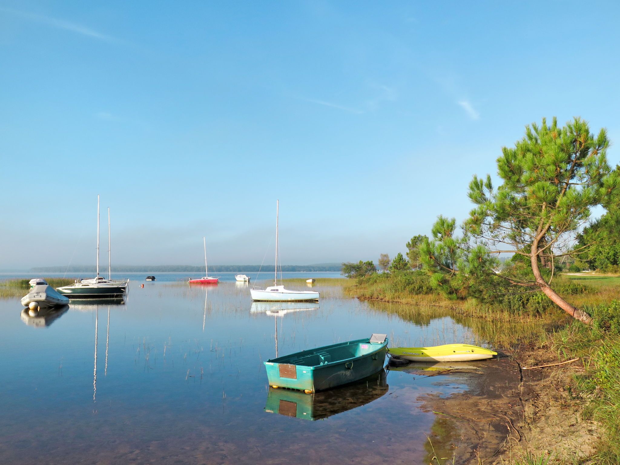 A calm lake with several boats anchored, surrounded by grassy areas and trees.