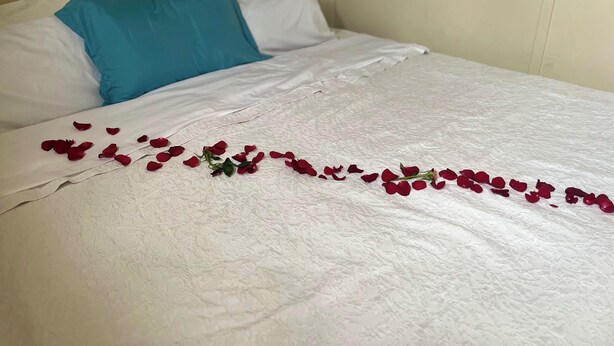 A bed with white linens, a blue pillow, and scattered red rose petals.