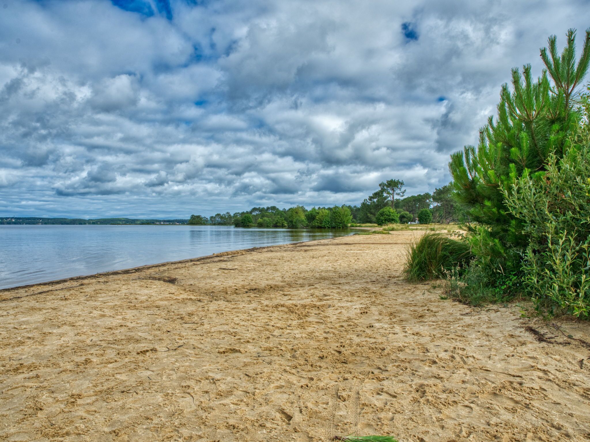 Strand