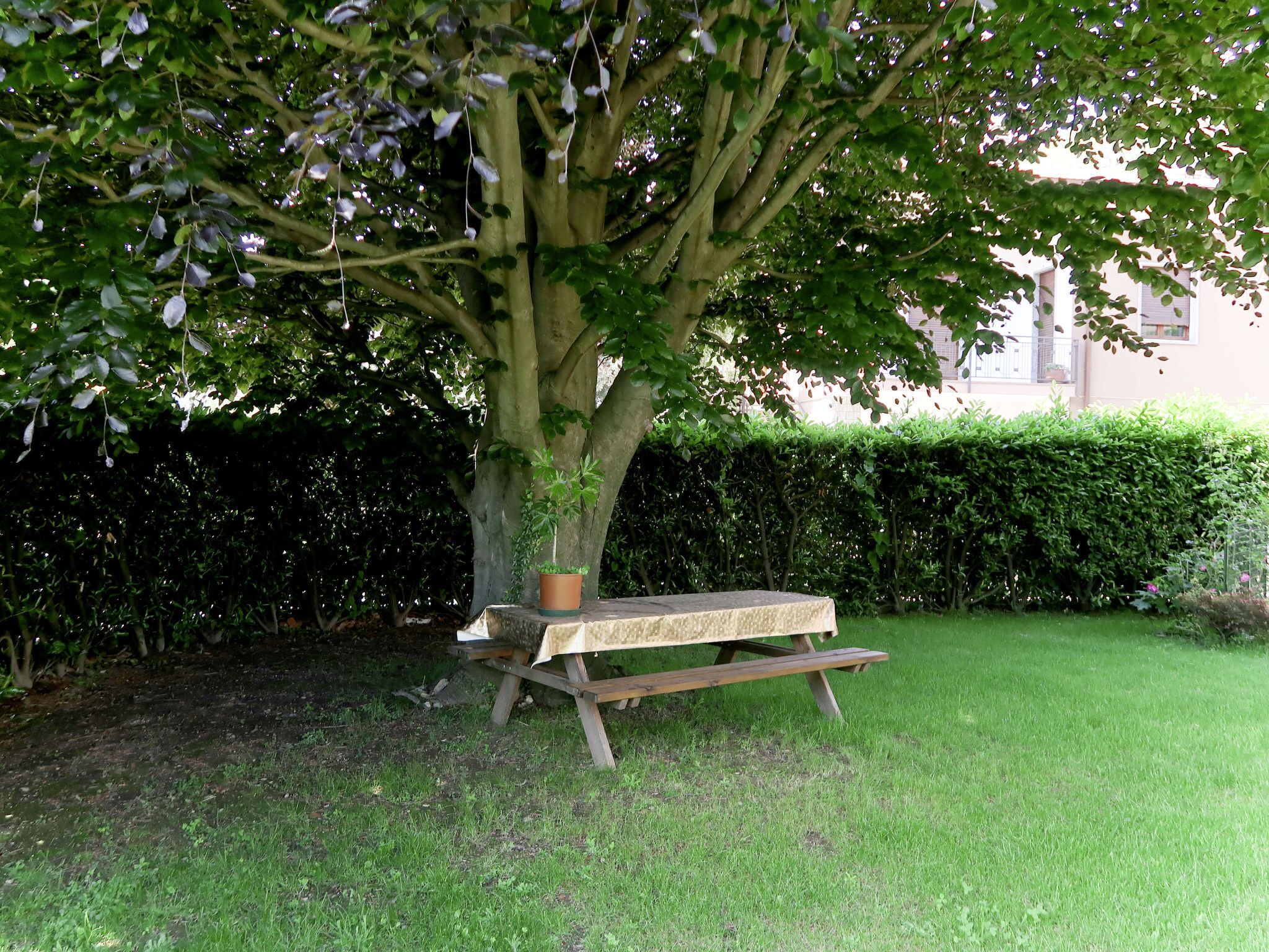 A wooden bench under a tree with a potted plant on it.