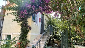 A stone staircase leading to a building with a green door, surrounded by potted plants and flowering vines. - Casa del Pernambuco (PTL205) by Interhome (Pietra Ligure)