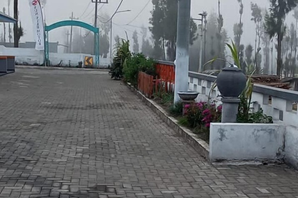Free self parking
