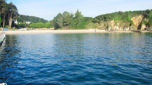 Un lago tranquilo con una playa de arena y árboles densos al fondo.