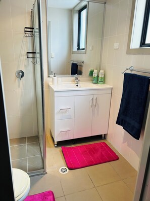 Shower, hair dryer, towels, soap