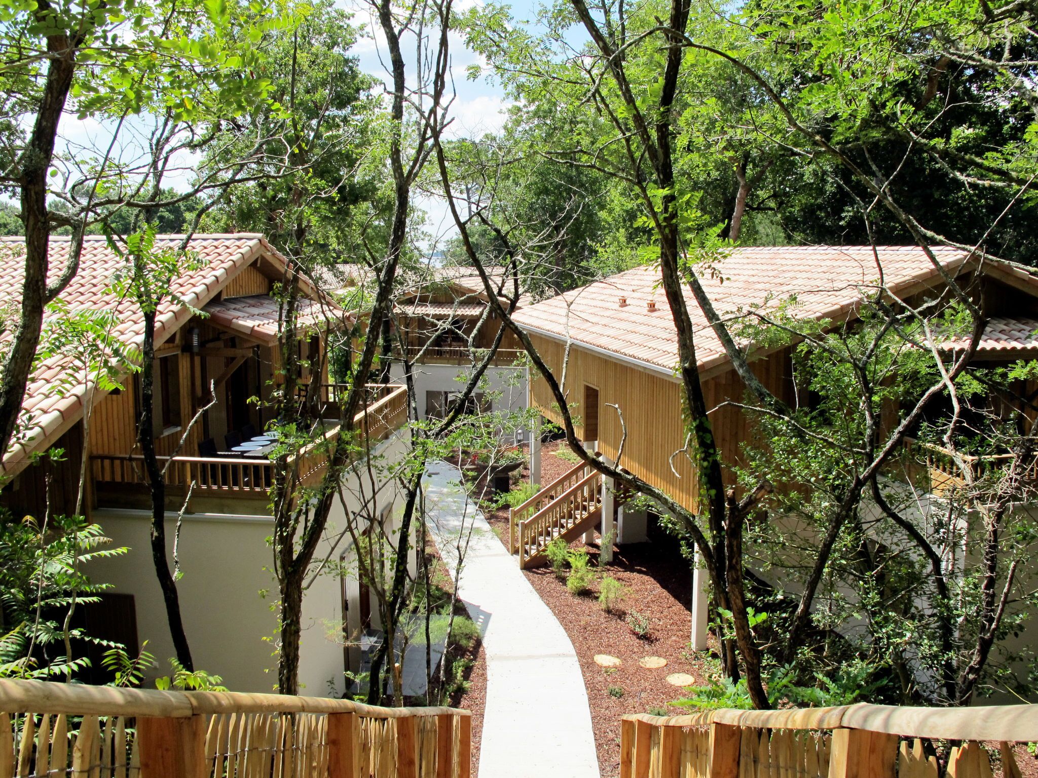 A wooden cabin-style hotel with multiple rooms, a covered outdoor area, and a natural forest setting.