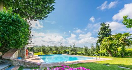 Petrarca by Interhome