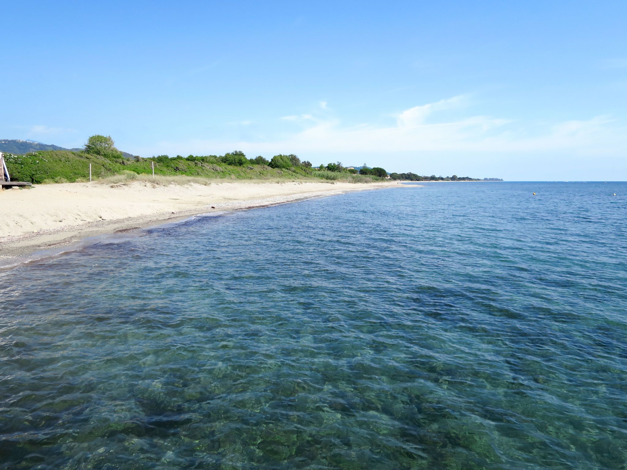 Una platja clara amb aigües tranquil·les, sorra daurada i vegetació al fons.