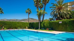 Una piscina con agua cristalina azul, rodeada de palmeras y un seto.