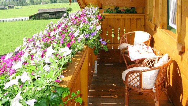 A wooden balcony with a row of flowers and wicker chairs.