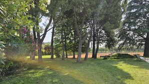 Um parque com árvores, grama e uma quadra de tênis.