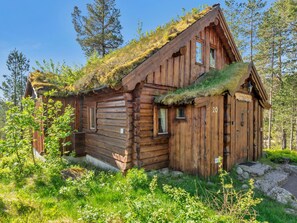 Udendørsområde