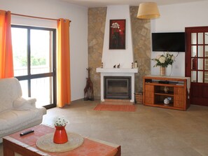 TV, lareira, DVD player