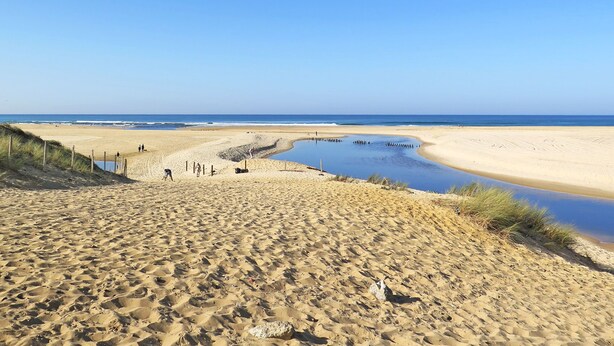 Ein sandiger Strand mit blauem Himmel, einem kleinen Gewässer und ein paar Spaziergängern.