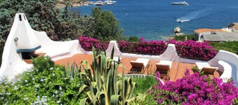 Hibiscus by Interhome