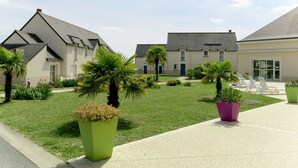 Pátio com gramado, palmeiras e plantas em vasos. Edifícios com estilo arquitetônico moderno ao fundo.