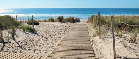 Plage à proximité