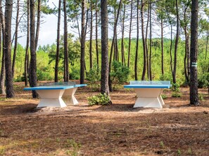 Two outdoor ping pong tables in a forested area with tall pine trees.
