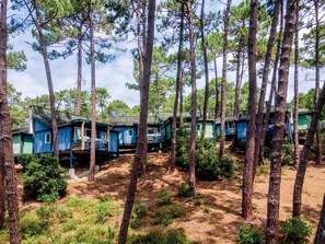 Un área boscosa con varias cabañas azules elevadas sobre pilotes, rodeada de altos pinos.