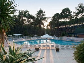 Una piscina con sillas de descanso y sombrillas, rodeada de árboles altos y un cielo despejado.