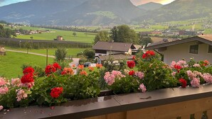 Un balcón con flores y vistas a un pueblo con casas y montañas al fondo.