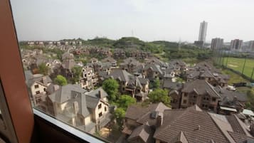 A residential area with multiple houses, a sports field, and a distant high-rise building.