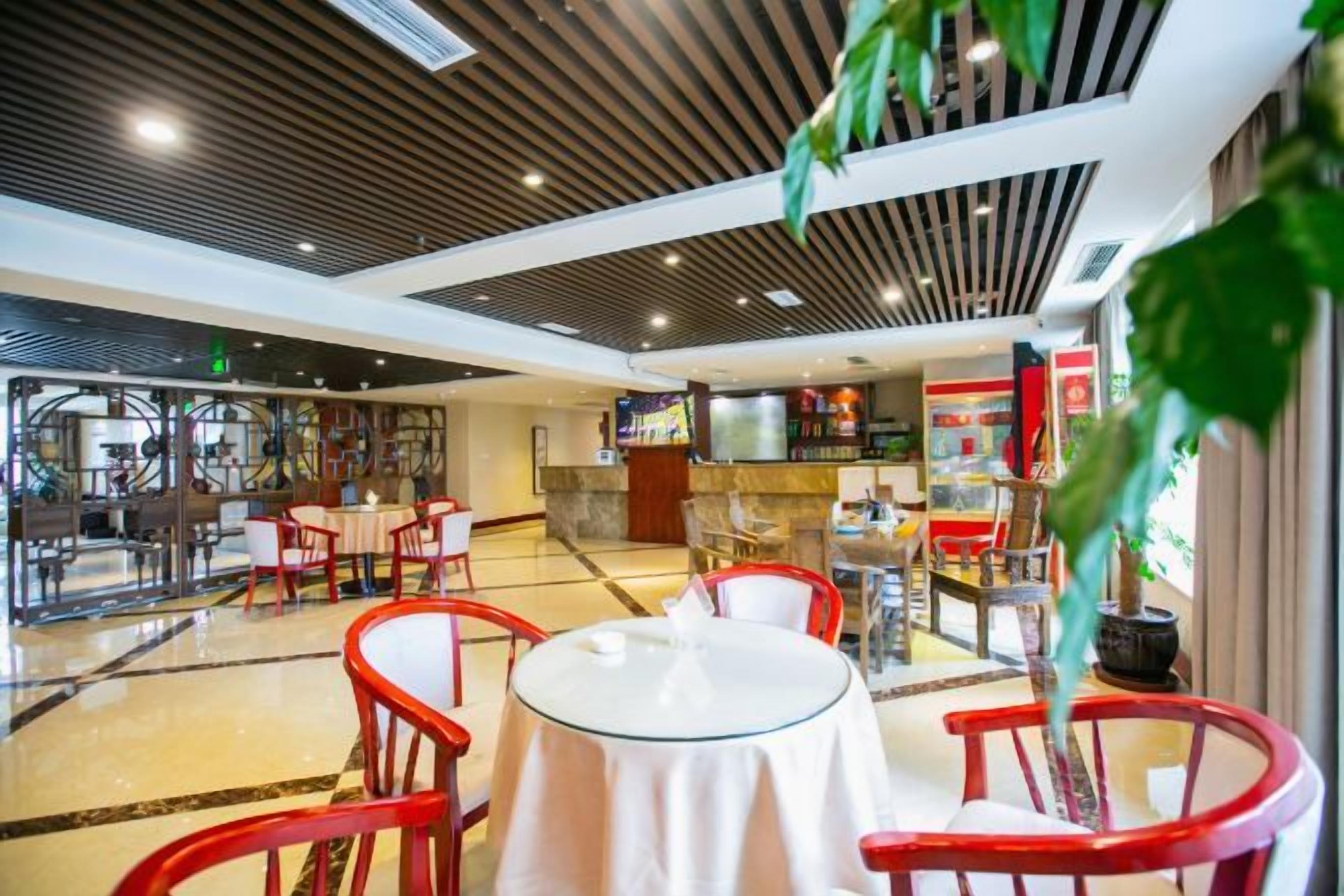 Un hall de hotel con zona de bar, diferentes disposiciones de asientos y una planta grande.