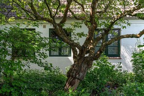 Un arbre se trouve devant un immeuble aux fenêtres vertes et à la façade blanche.