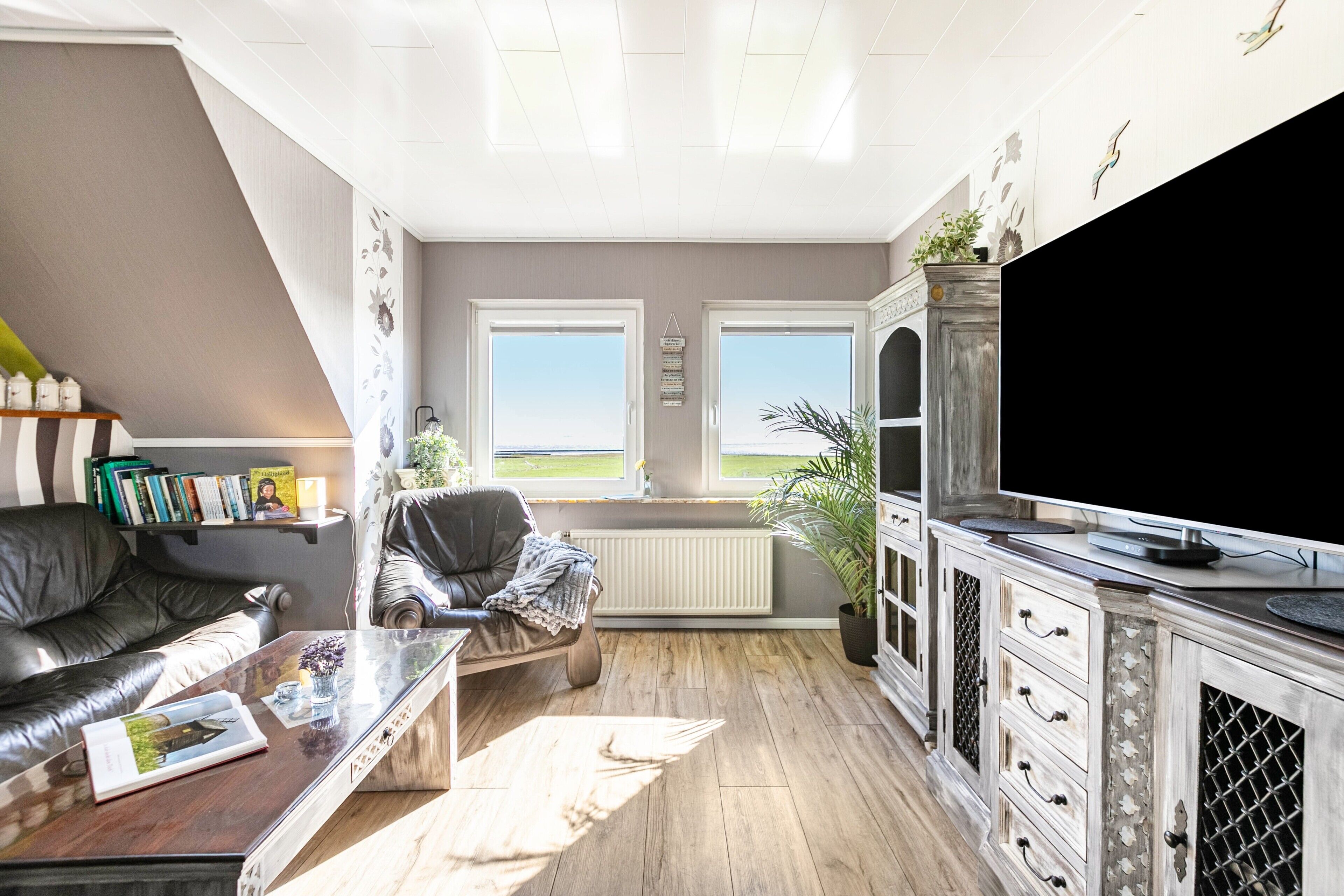 Fernseher