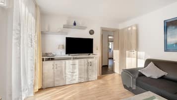 Fernseher, Stereoanlage