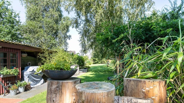 Une terrasse en bois agrémentée de plantes en pot et dotée d’un espace barbecue couvert.