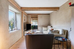 تلفزيون، مدفأة