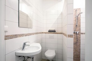 Chuveiro, secador de cabelo, toalhas de banho 