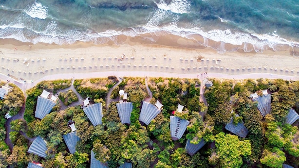 Une vue aérienne d’une plage, avec des rangées de parasols et une rangée de bâtiments bordés d’arbres.