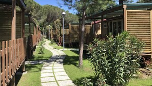 A row of wooden cabins with a paved walkway between them. - Campeggio del Forte by Interhome (Marina di Bibbona)