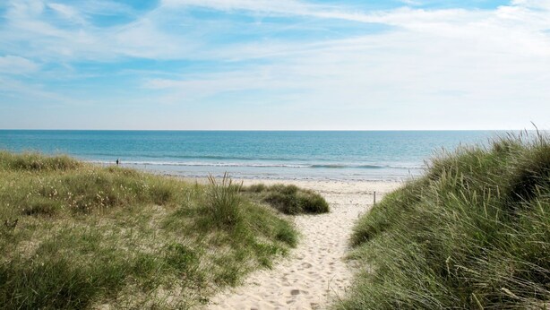 Ein sandiger Küstenpfad führt zum Meer, umgeben von grasbewachsenen Dünen.